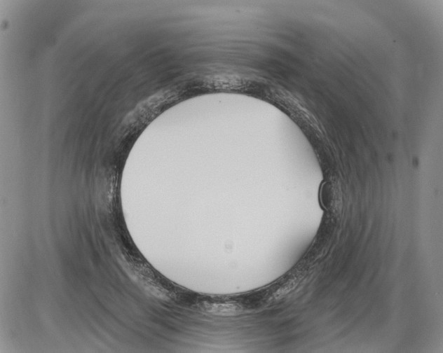 X0000086000645200704201832