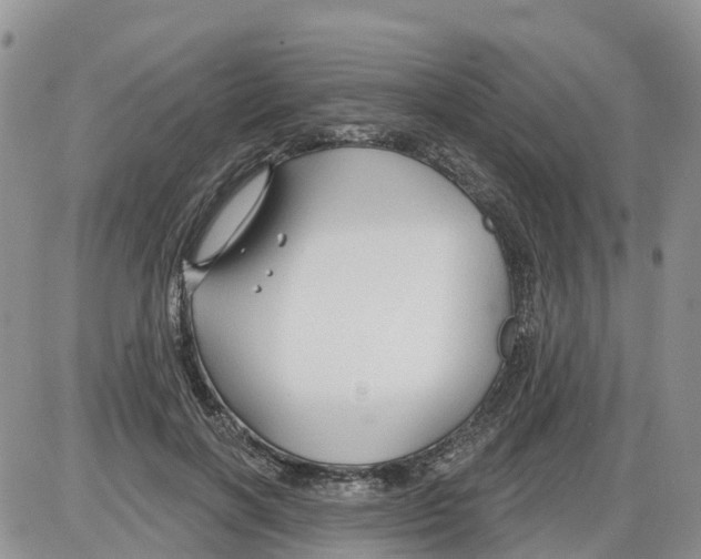 X0000086000646200704201832