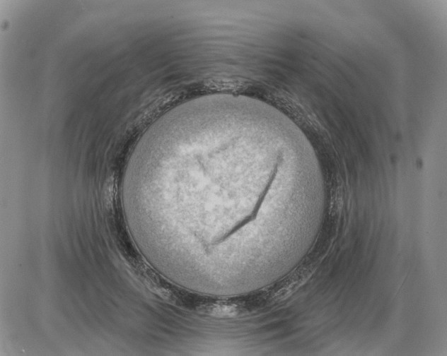 X0000086000647200704201832