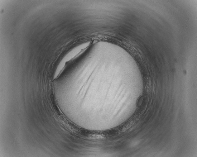 X0000086000649200704201832