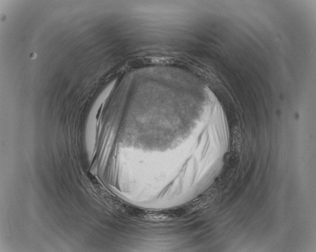 X0000086000650200704201832