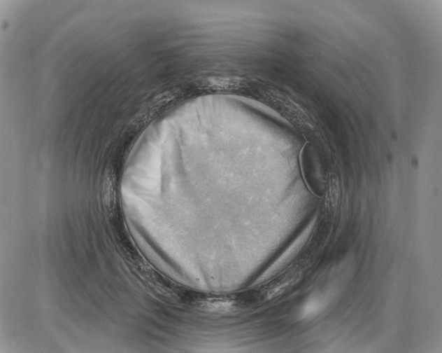 X0000086000651200704201832