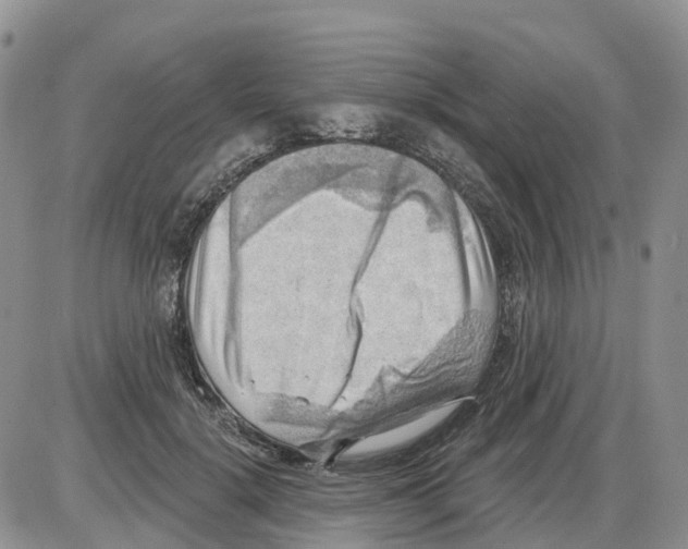 X0000086000652200704201832