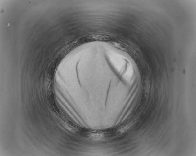 X0000086000653200704201832