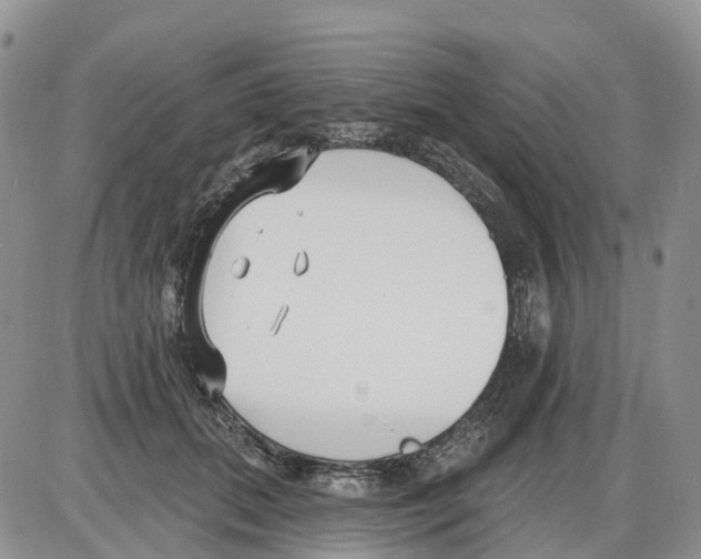 X0000086000655200704201832