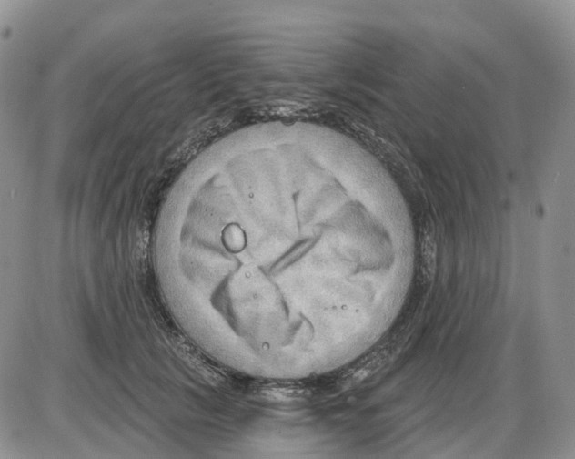 X0000086000657200704201832