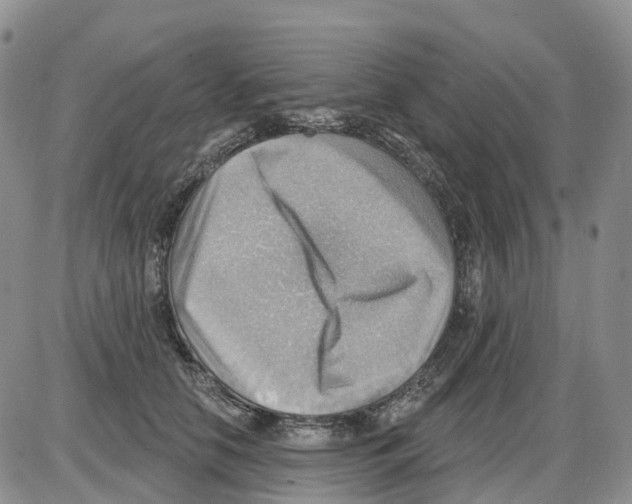 X0000086000658200704201832