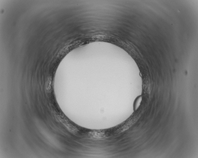 X0000086000660200704201833