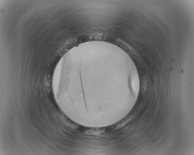 X0000086000661200704201833