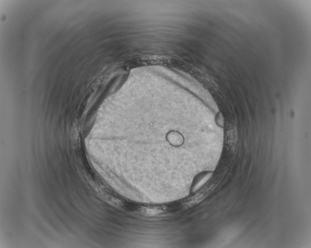 X0000086000662200704201833