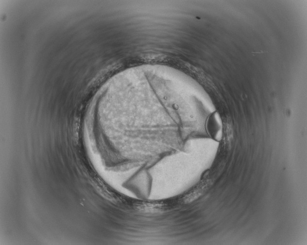 X0000086000664200704201833