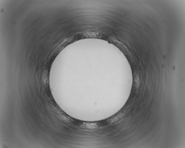 X0000086000665200704201833