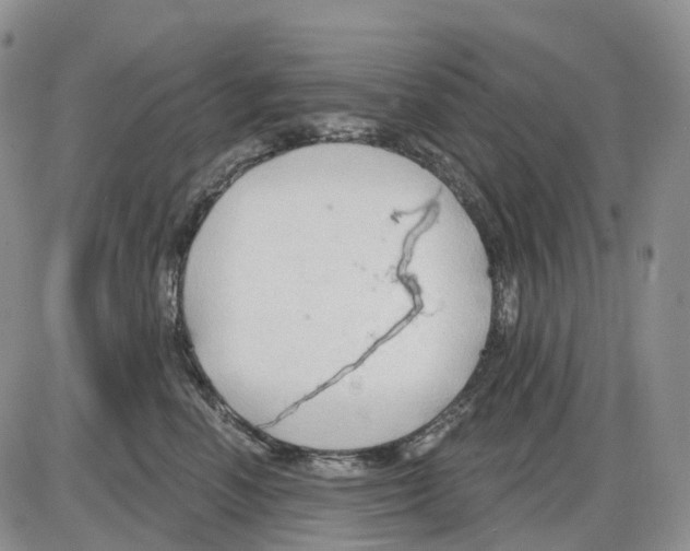 X0000086000666200704201833