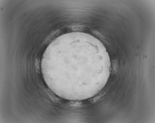 X0000086000667200704201833