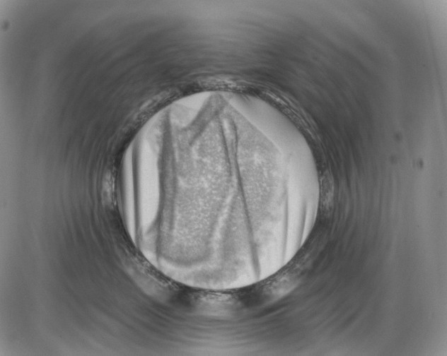 X0000086000669200704201833