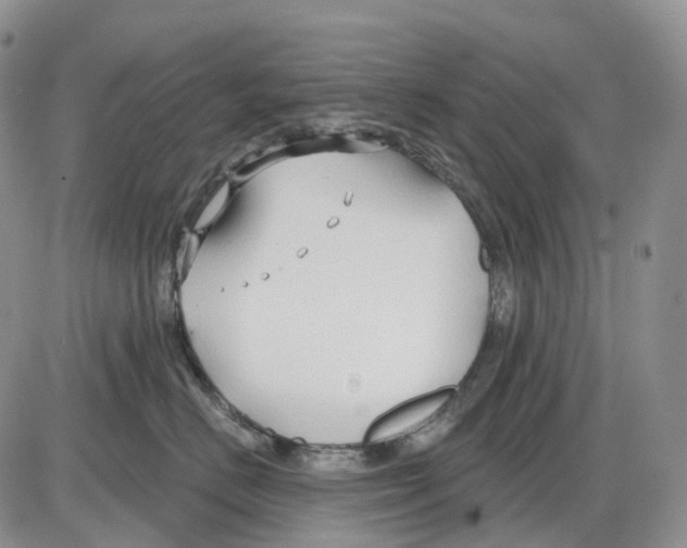 X0000086000670200704201833