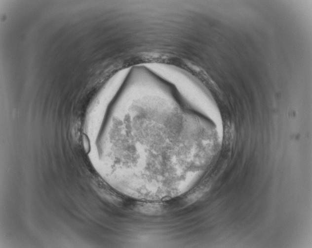 X0000086000671200704201833