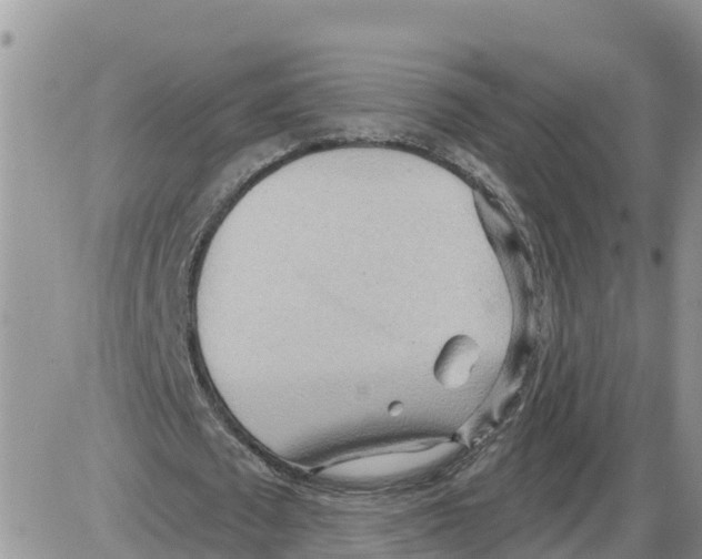 X0000086000673200704201832