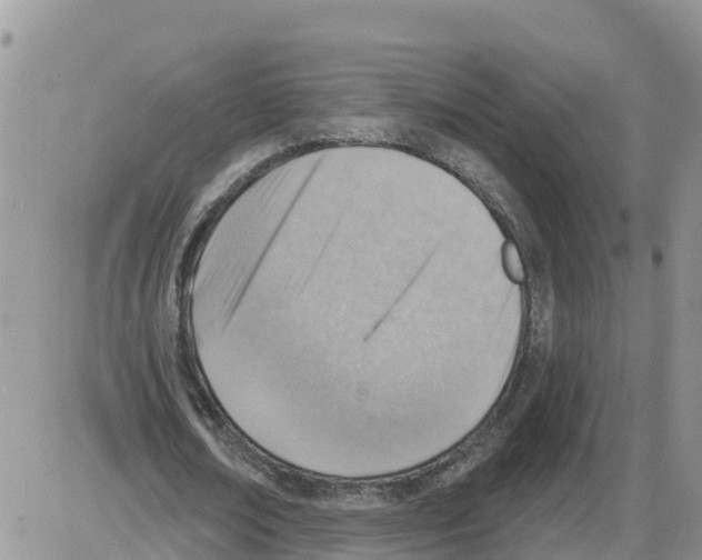 X0000086000674200704201832