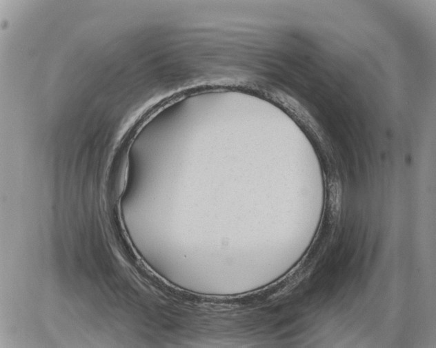 X0000086000676200704201832