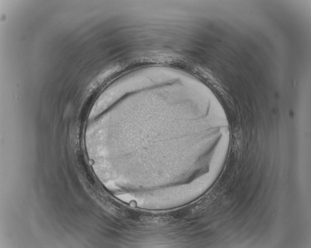 X0000086000679200704201832