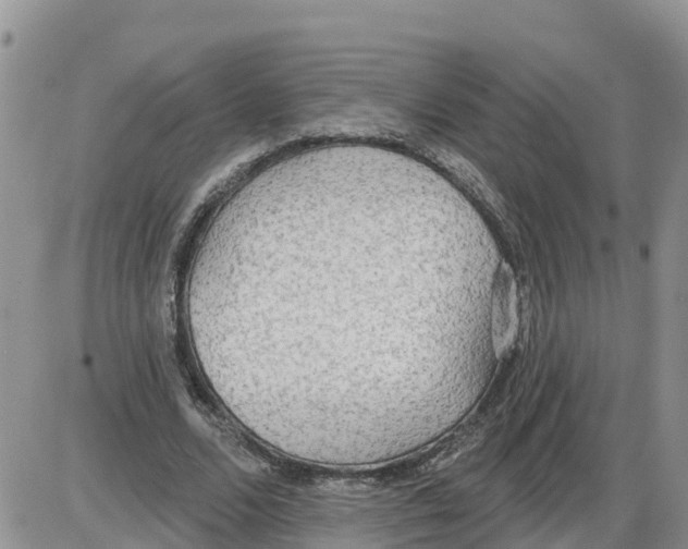 X0000086000680200704201832