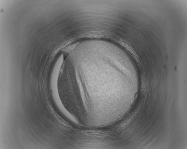 X0000086000681200704201832