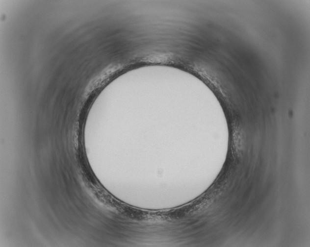 X0000086000682200704201832