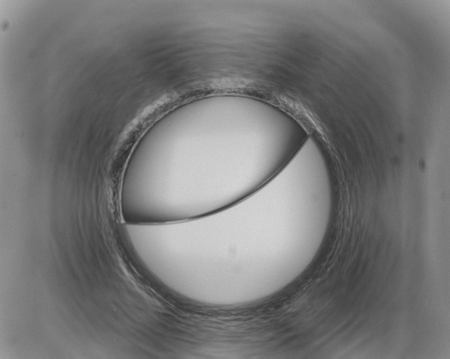 X0000086000684200704201832