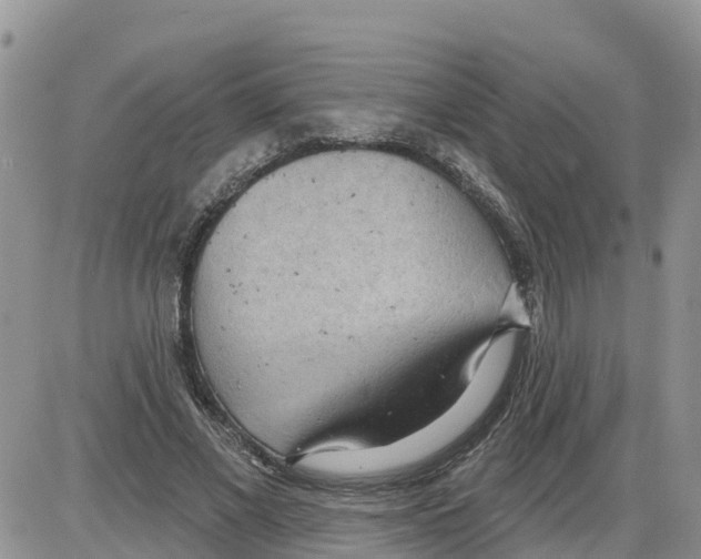 X0000086000685200704201832