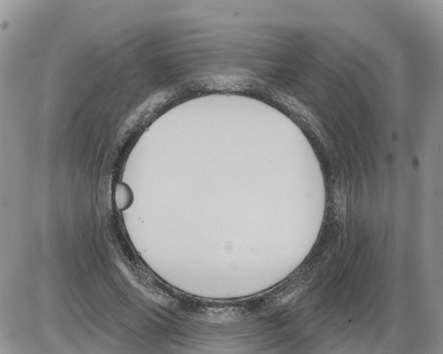 X0000086000686200704201832