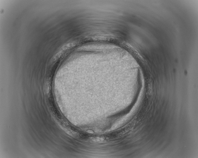 X0000086000687200704201832