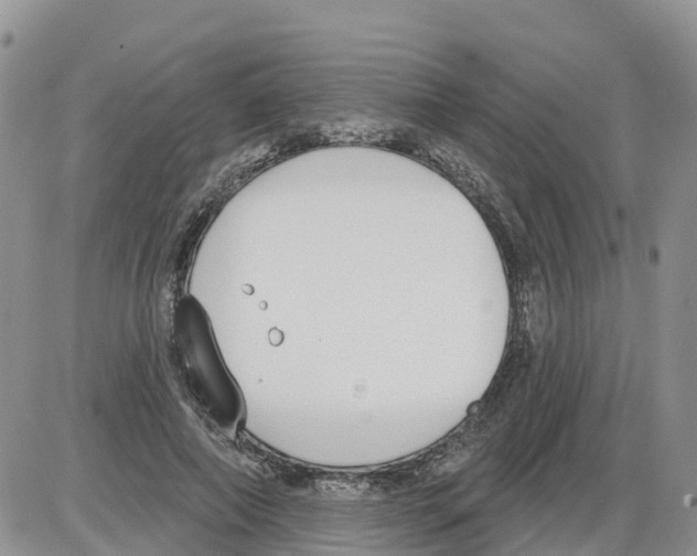 X0000086000690200704201832