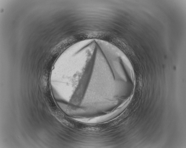 X0000086000691200704201832