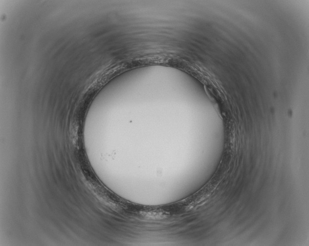 X0000086000693200704201832