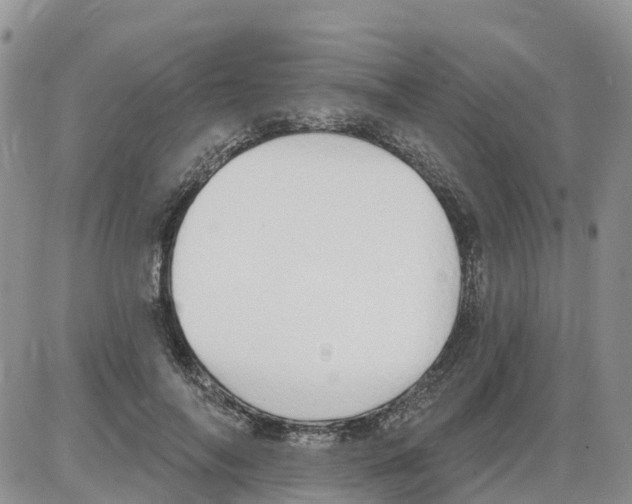 X0000086000694200704201832