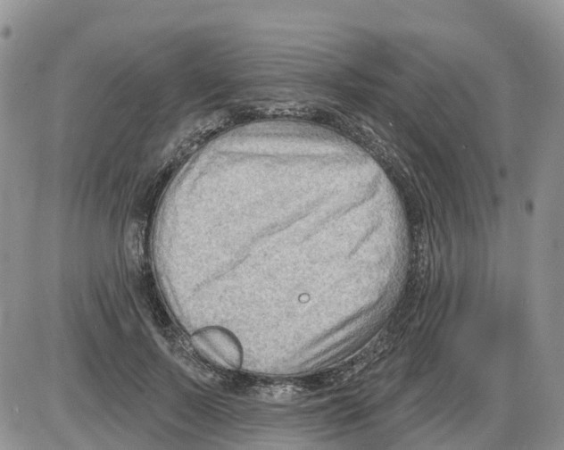 X0000086000695200704201832