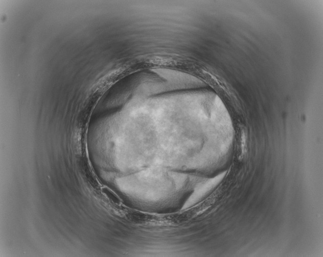 X0000086000696200704201832