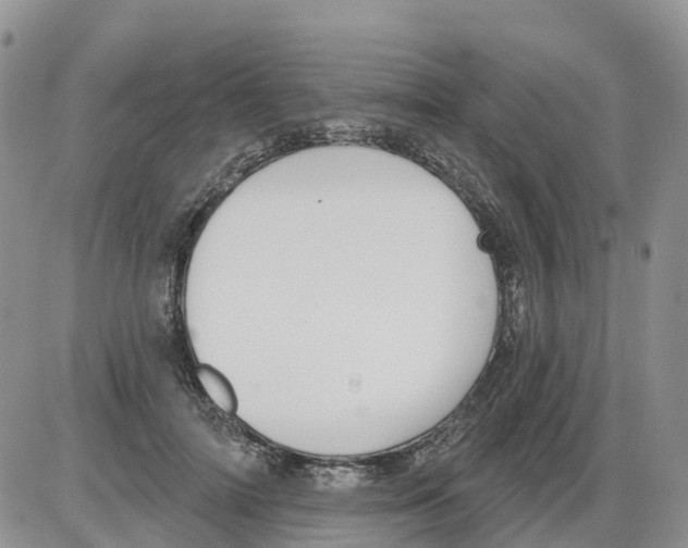 X0000086000698200704201832