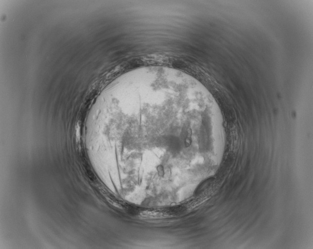 X0000086000699200704201831