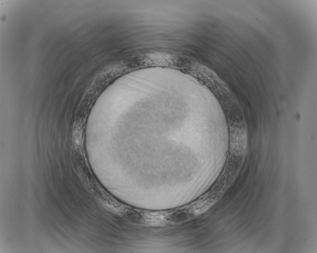 X0000086000701200704201831