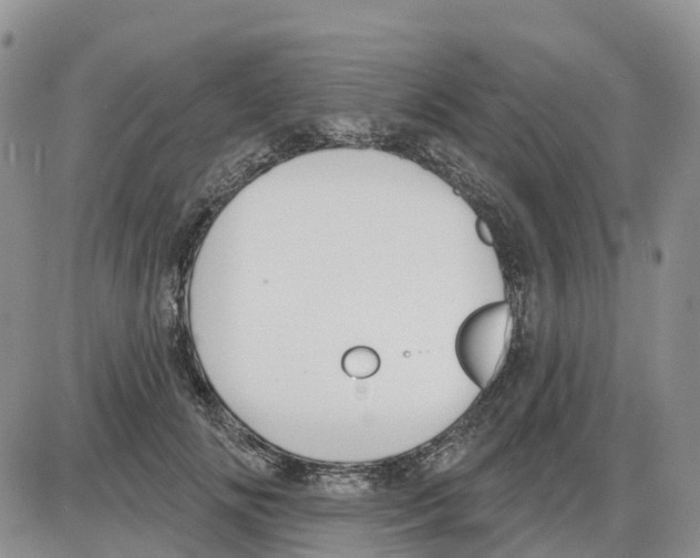 X0000086000702200704201831