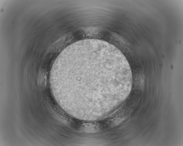 X0000086000703200704201831