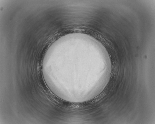 X0000086000704200704201831