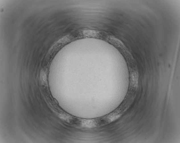 X0000086000705200704201831