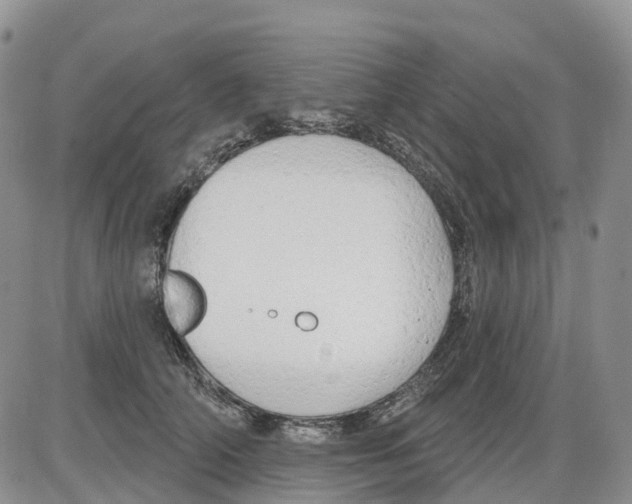 X0000086000706200704201831