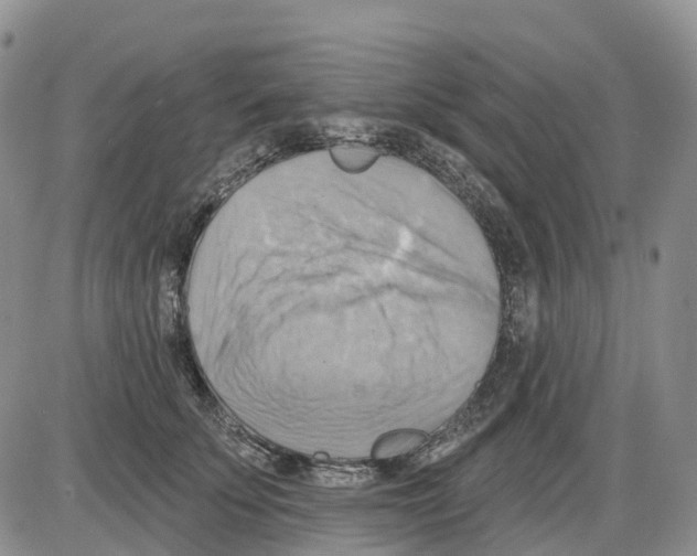 X0000086000707200704201831