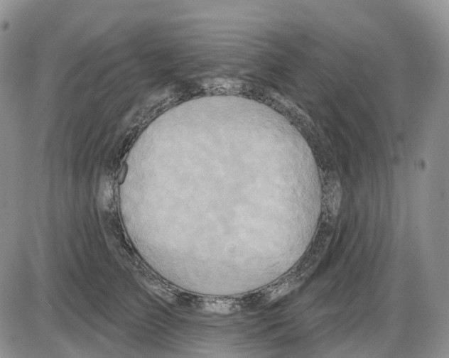 X0000086000709200704201831