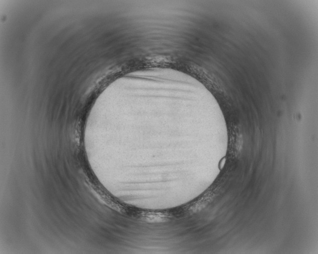 X0000086000710200704201831