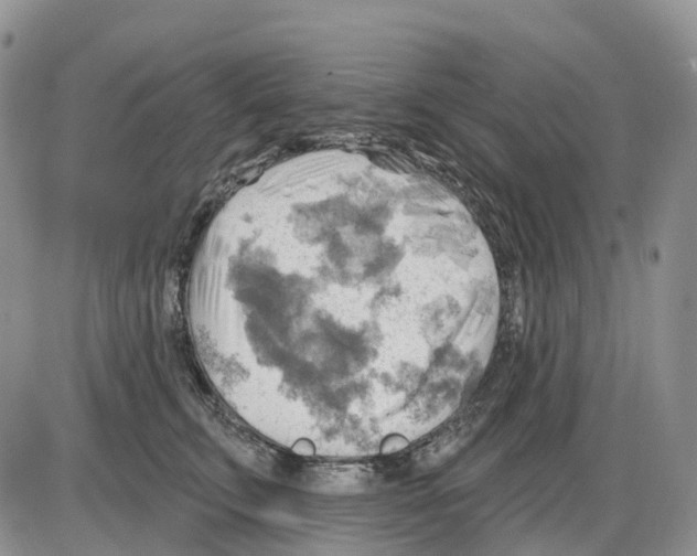 X0000086000711200704201831